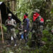 Historische Chance: Kolumbien vor Friedensverhandlungen mit ELN-Guerilla