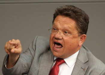 SPD-Abgeordneter bezeichnet AfD im Bundestag als "vaterlandslose Gesellen" - Kubicki schreitet ein