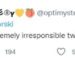 Sikorskis "Thank you, USA": Getwittert, gelöscht, unsterblich