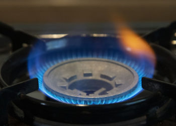 "Ohne Gas keine Milch" - Bauernverband und Versorger warnen vor Folgen der Energiekrise