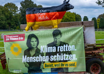 Analyse zur Niedersachsen-Wahl: Warum gewinnt Grün?