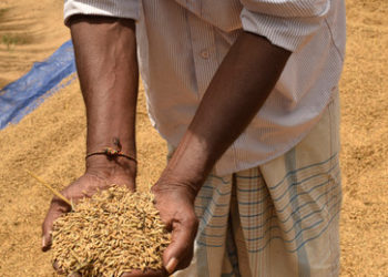 Die Hintergründe des Krieges (III): Monopole, Hunger und Staatsbankrotte