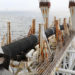 Gazprom-Chef: Große Abschnitte der Nord Stream-Rohre mit Wasser gefüllt – Reparatur aufwändig