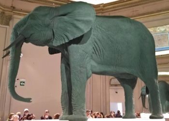 Geopolitik: Der Elefant im Raum