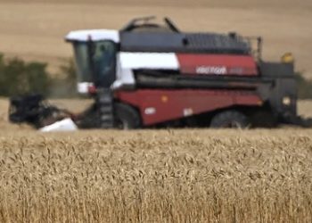 Mehr als 80 Prozent aller Getreidelieferungen aus der Ukraine gehen in Industrieländer