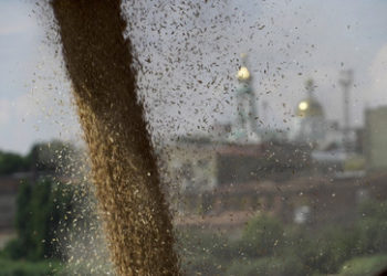 Peskow: Getreideexporte ohne Russland sind gefährlich und ungerecht