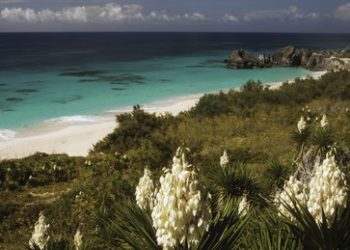 Russland nimmt weitere elf britische Überseegebiete in Liste unfreundlicher Staaten auf