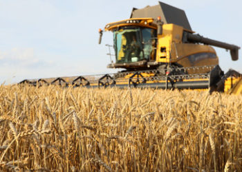 Russland reagiert auf Kritik an Aussetzung des Getreidedeals mit der Ukraine