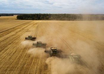 Russland verzeichnet Rekordernte bei Getreide