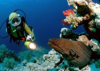 Versicherungsfall? Nord Stream AG schickt Spezialschiff zur Untersuchung der Explosionen