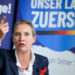 Weidel zu Nord Stream: "Stringente Aufklärung und schnellstmögliche Reparatur"