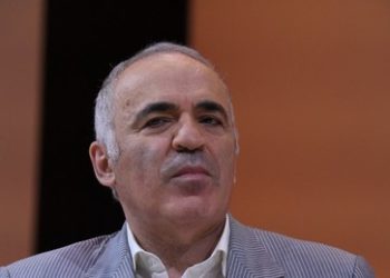 "Idiot", "Trottel" – Musk teilt kräftig gegen Kasparow aus