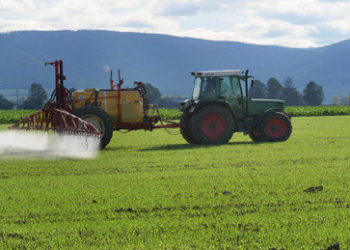 EU wird die Zulassung des Pestizids Glyphosat um ein Jahr verlängern