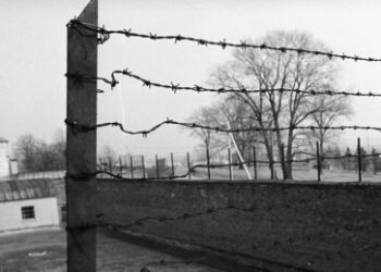 Litauens NS-Kollaboration: Holocaust-Forscherin Rūta Vanagaitė wandert aus