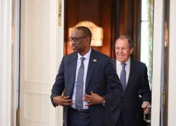 Mali verbietet französische NGOs