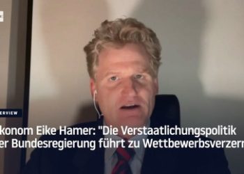 Ökonom Eike Hamer: "Die Verstaatlichungspolitik der Bundesregierung führt zu Wettbewerbsverzerrung"
