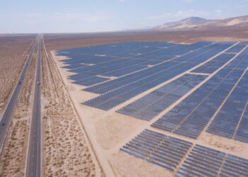 US-Solarinstallationen werden dieses Jahr aufgrund des Verbots chinesischer Waren um 23 Prozent fallen: Bericht