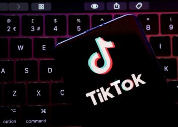 Hausverwaltung verbietet TikTok auf offiziellen Geräten