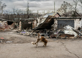 Die völkerrechtliche Bewertung des Ukraine-Kriegs: Zum Streit innerhalb der Friedensbewegung
