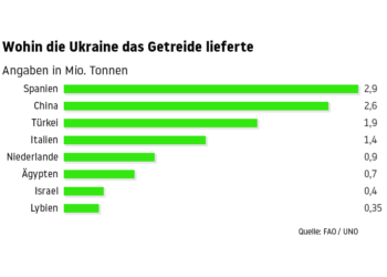 Kinder in Afrika oder Schweine in Spanien: Wohin ging das ukrainische Getreide?