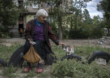 Liveticker Ukraine-Krieg: 44 Zivilisten in Lugansker Volksrepublik durch US-HIMARS-Raketen getötet