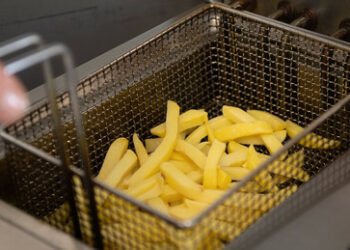 Moskau: Elektrobusse sollen mit recyceltem Frittieröl von McDonald's-Nachfolger betrieben werden