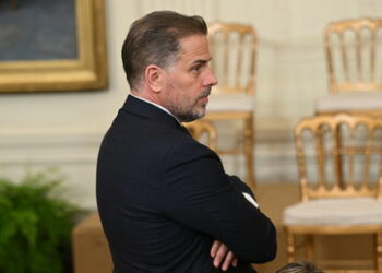 Musk veröffentlicht Dokumente über Vertuschung von Skandal um Hunter Biden durch Ex-Twitter-Leiter