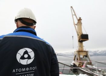 Rosatom-Chef: Unfreundliche Staaten in der Zukunftsstrategie fehl am Platz