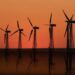 Russische Wissenschaftler warnen: Erneuerbare Energien schädigen die Umwelt