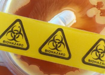 Russland nennt weitere Beteiligte an US-Biowaffenprojekten in der Ukraine