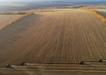 Russlands Landwirtschaftsministerium: Getreideernte auf über 150 Millionen Tonnen gestiegen