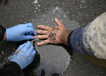 Verdacht auf Bildung krimineller Vereinigung – Durchsuchungen bei "Letzter Generation"