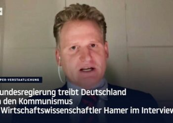 Wirtschaftswissenschaftler Hamer im Interview: Bundesregierung treibt Deutschland in den Kommunismus