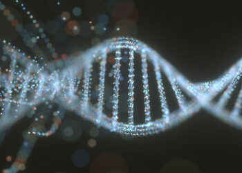 Zwei Millionen Jahre alte DNA-Proben aus Nordgrönland enthüllen "verlorene Welt"