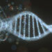 Zwei Millionen Jahre alte DNA-Proben aus Nordgrönland enthüllen "verlorene Welt"