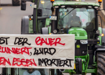 "Absolut inkompetente Regierung": Niederlande planen Zwangskauf von 3.000 Bauernhöfen