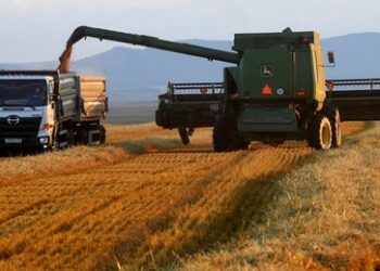 "Gelungenes Experiment": Russland beginnt mit Abrechnung von Getreide in Rubel