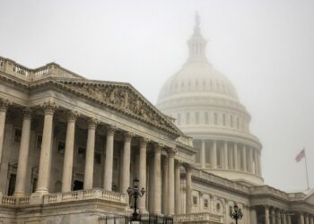 Demokraten und Republikaner loben neues Komitee zur Bekämpfung des Einflusses der KPCh