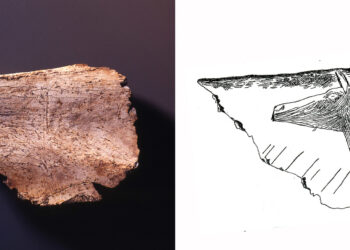 Archäologische Sensation: Ein Kalender an den Höhlenwänden von Lascaux?