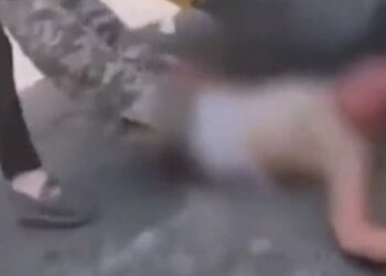 Hinrichtungen in Iran: Nicht friedliche Demonstranten, sondern Mord an Sicherheitskräften