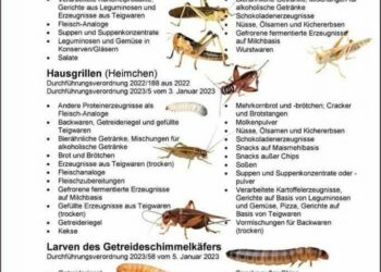Insekten als Lebensmittelzusatz in der EU? In Russland staunt und lacht man