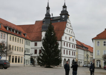Nach Abstimmung mit AfD: Partei-Verfahren gegen zwei SPD-Stadträte in Südthüringen beantragt