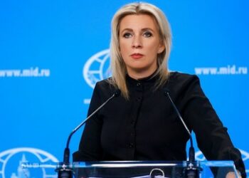 Russland zur türkischen Unterstützung von Selenskijs "Friedensplan": Ein inakzeptabler Vorschlag