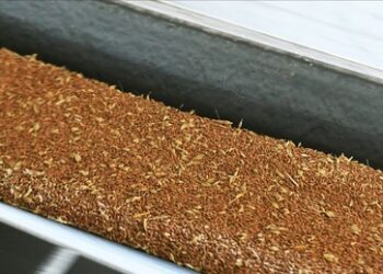 Türkischer Minister: Nur 5,4 Prozent ukrainischen Getreides an wirklich arme Länder geliefert 