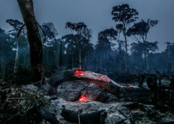 ZEIT-Recherchen belegen massiven globalen Betrug mit CO₂-Zertifikaten