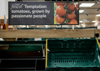 Britische Landwirte rufen Regierung zu Übernahme von Kontrolle über Lebensmittelproduktion auf