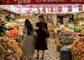 China wird wichtigster Importeur russischer Lebensmittel und Agrarerzeugnisse