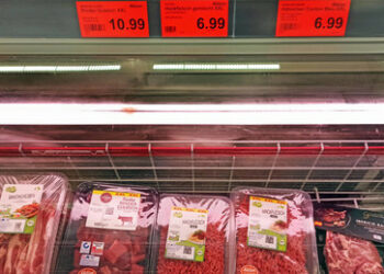 Discounter: Kein Fleisch mehr für Arme