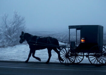EU beschließt Subventionen für E-Autos – laut Umfrage lehnt Mehrheit Elektro-Autos ab