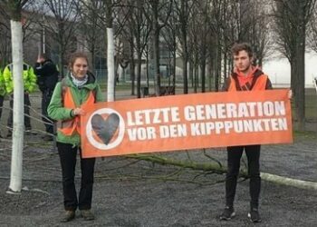 Mein Freund, der Baum, ist tot – Letzte Generation fällt jungen Baum am Kanzleramt in Berlin